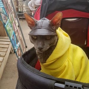 Meet your Posher, Louanne